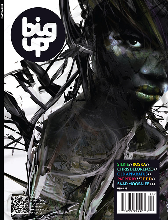 BigUp_11cover_rev_proof_1